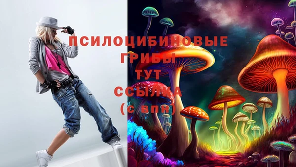 ГАЛЛЮЦИНОГЕННЫЕ ГРИБЫ Балабаново