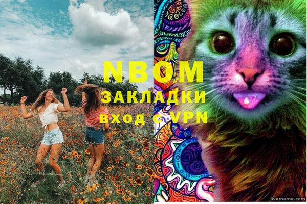 дживик Баксан