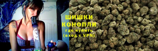 ГАЛЛЮЦИНОГЕННЫЕ ГРИБЫ Балабаново
