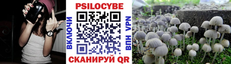 Псилоцибиновые грибы MAGIC MUSHROOMS  Пионерский 